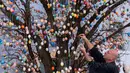 Uwe Gerstenberg mendekorasi pohon robinia dengan 10.000 telur paskah warna-warni di kota Saalfeld, Jerman, Jumat (30/3). Pohon Paskah merupakan tradisi lain yang berumur berabad-abad dan dibuat dari pohon atau semak kecil yang masih hidup. (AP/Jens Meyer)