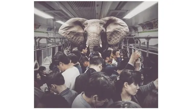 Tak terpikirkan, Zulkarnain Ismail membuat gajah berada di dalam kereta.