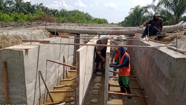 Genjot Produksi Pertanian, Kementan Optimasi Lahan Rawa 500 Hektar di Aceh Utara