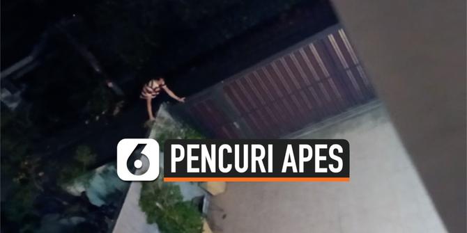 VIDEO: Apes, Pencuri Terjatuh saat Panjat Pagar Rumah