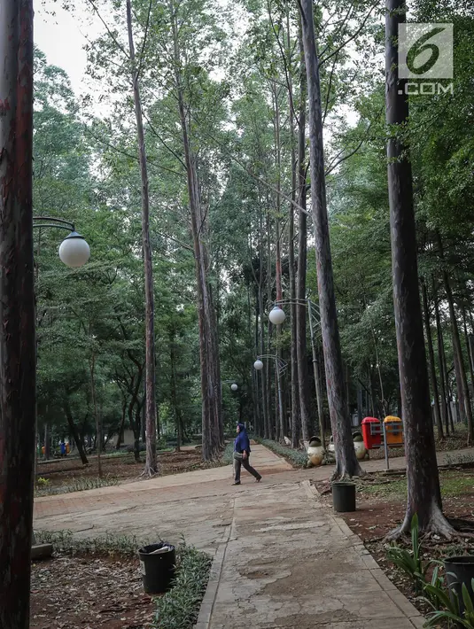 Warga melintas di antara pohon yang rindang di Taman Tebet, Jakarta Selatan, Selasa (8/1). Pemprov DKI berencana merevitalisasi lima taman di ibu kota, salah satunya adalah Taman Honda yang berubah nama menjadi Taman Tebet. (Liputan6.com/Fery Pradolo)