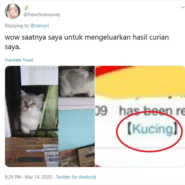 keterangan penerima paket kelewat absurd