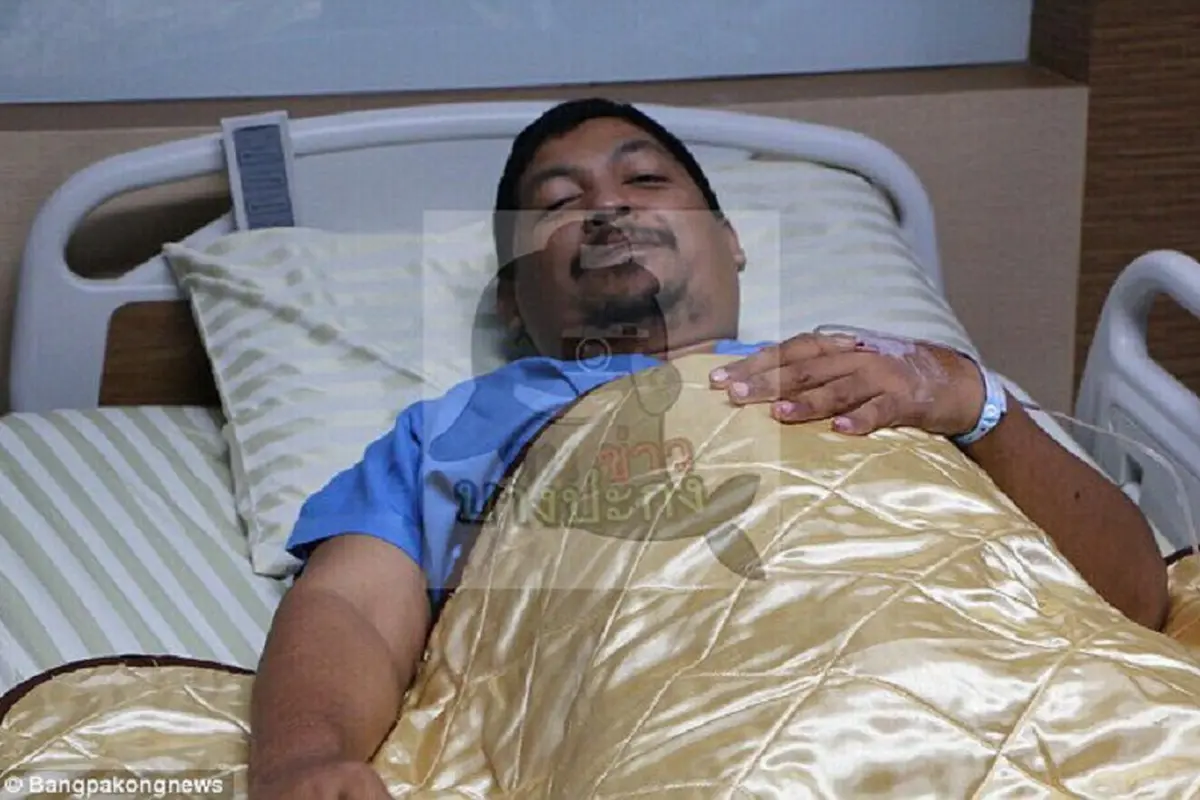[Bintang] ular piton gigit penis 