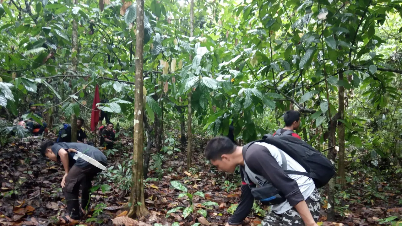 Jejak Anoa