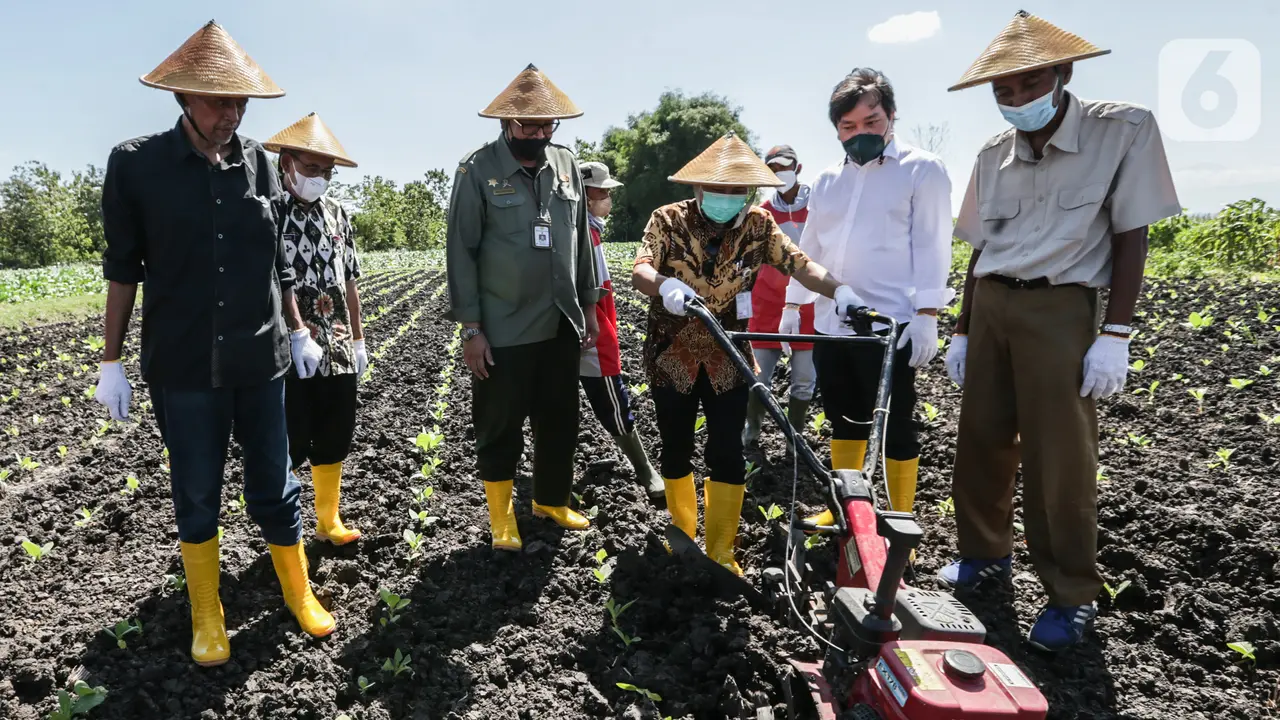 Program Kemitraan Sampoerna, Solusi Tingkatkan Kualitas Tembakau dan Kesejahteraan Petani Tembakau