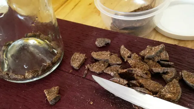 Bir ambergris (1)