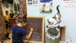 Seorang anak laki-laki tampak asyik menggambar kucing di papan tulis di 'Kis-Kis' Cat Cafe di Kota Krasnoyarsk, Siberia, Rusia, (6/7/2015). (REUTERS/Ilya Naymushin)