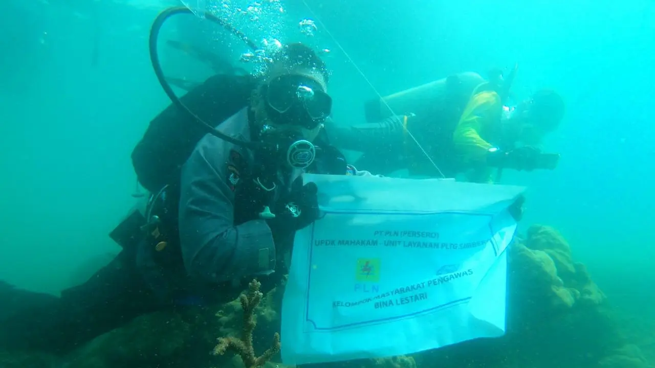 PLN Indonesia Power merestorasi terumbu karang yang rusak akibat pengeboman ikan di sepanjang pesisir Muara Badak,Kalimantan Timur. Langkah ini sebagai salah satu  program Tanggung Jawab Sosial dan Lingkungan (TJSL). (Dok PLN)