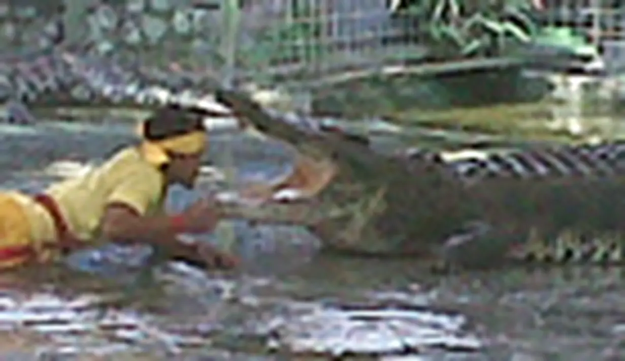 liputan6