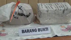 liputan6