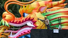 Seorang pekerja mempersiapkan struktur kepala naga dalam persiapan untuk Tahun Baru Imlek yang akan datang di sekitar jalur pengamatan hutan Supertrees di Gardens by the Bay, Singapura, pada 15 Januari 2024. (Roslan RAHMAN/AFP)