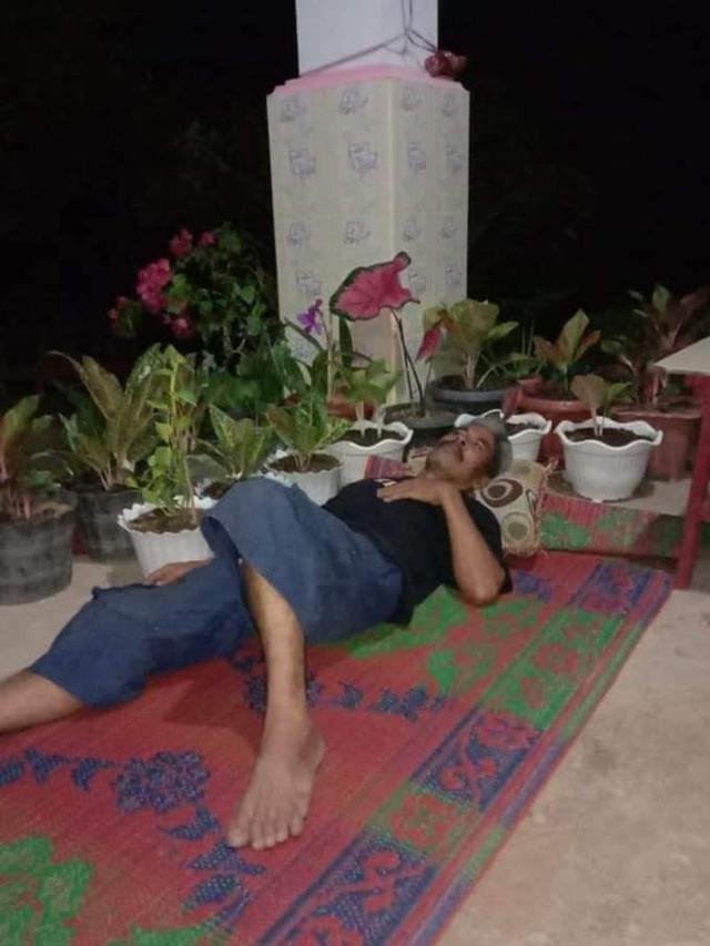 7 Potret Demam Tanaman Hias, Dijagain Hingga Pakai Pot dari Peralatan Dapur
