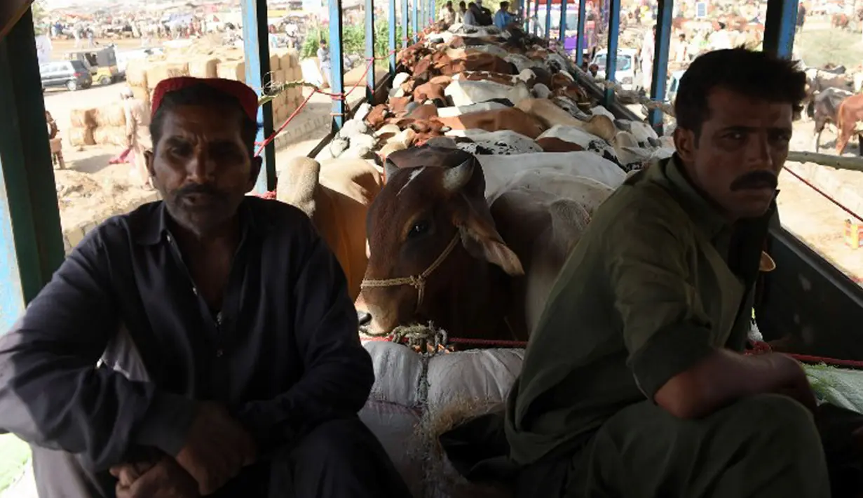 Pedagang menunggu untuk membongkar hewan ternak di pasar ternak yang disiapkan untuk menyambut Idul Adha di Karachi, Pakistan, Senin (14/9/2015). Muslim di seluruh dunia sedang mempersiapkan datangnya Hari Raya Idul Adha. (AFP PHOTO/RIZWAN Tabassum)