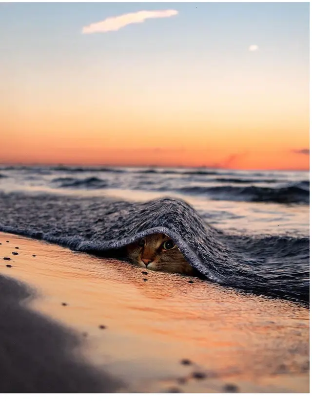 Editan Foto Karya Fotografer Ini Keren dan Epic Banget