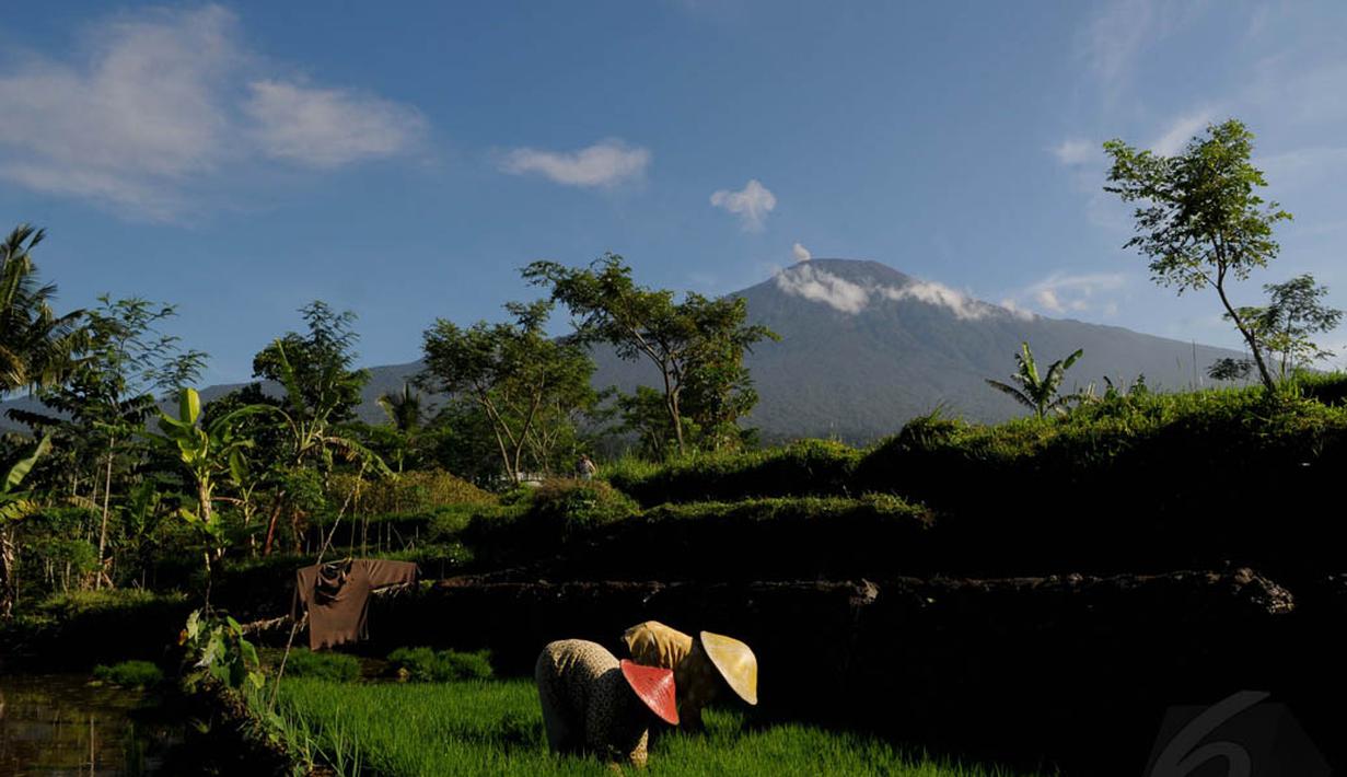 Gunung Slamet cukup populer sebagai sasaran pendakian meskipun medannya dikenal sulit. (Liputan6.com/Andrian M Tunay)