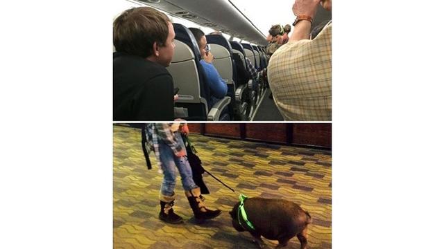 7 Potret Kelakuan Manusia yang Terlalu Sayang Binatang Ini Bikin Geleng Kepala