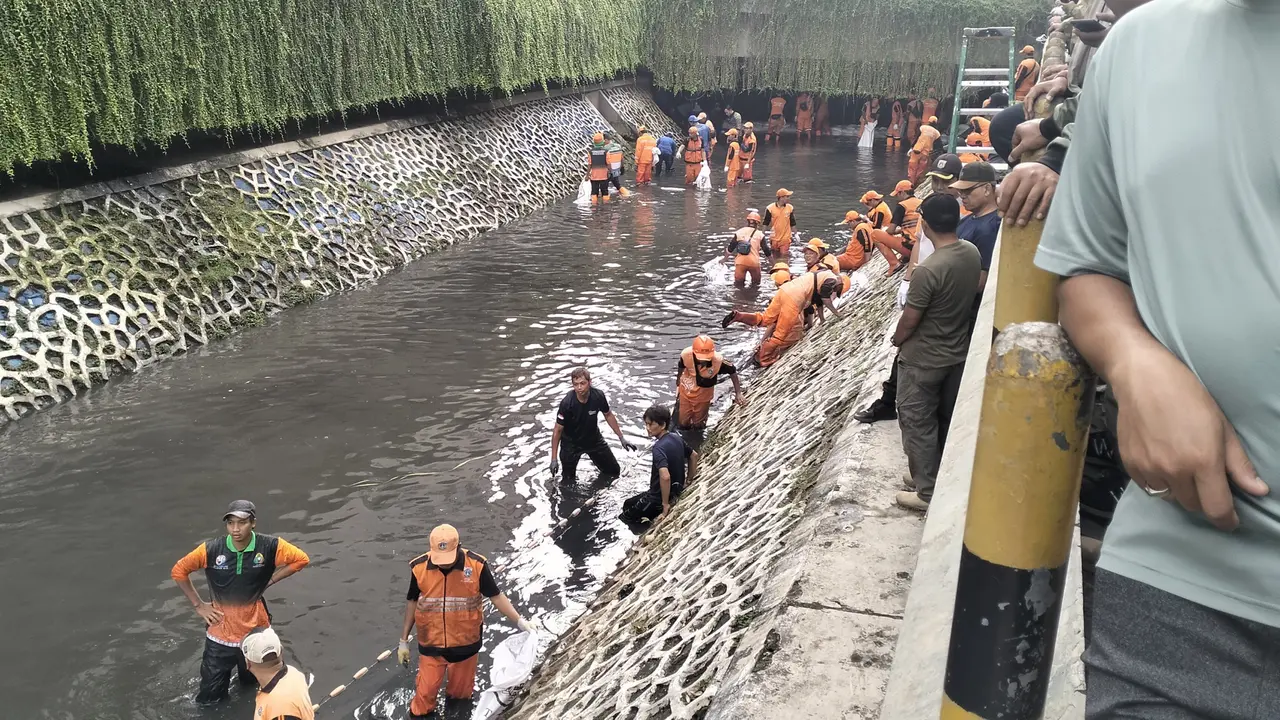 Penangkapan ikan sapu-sapu di Kali Cideng, Jakarta.