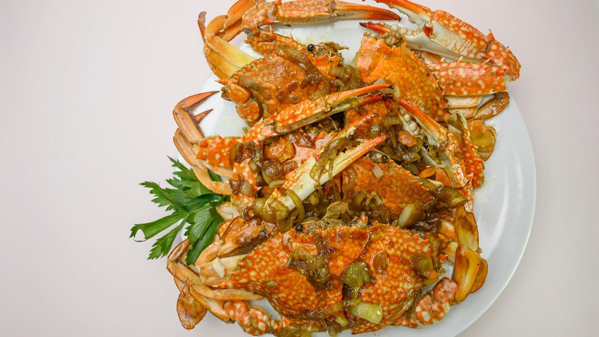 Rajungan rebus segar dengan cangkang berwarna merah cerah, disajikan dengan perasan jeruk nipis dan sambal pelengkap
