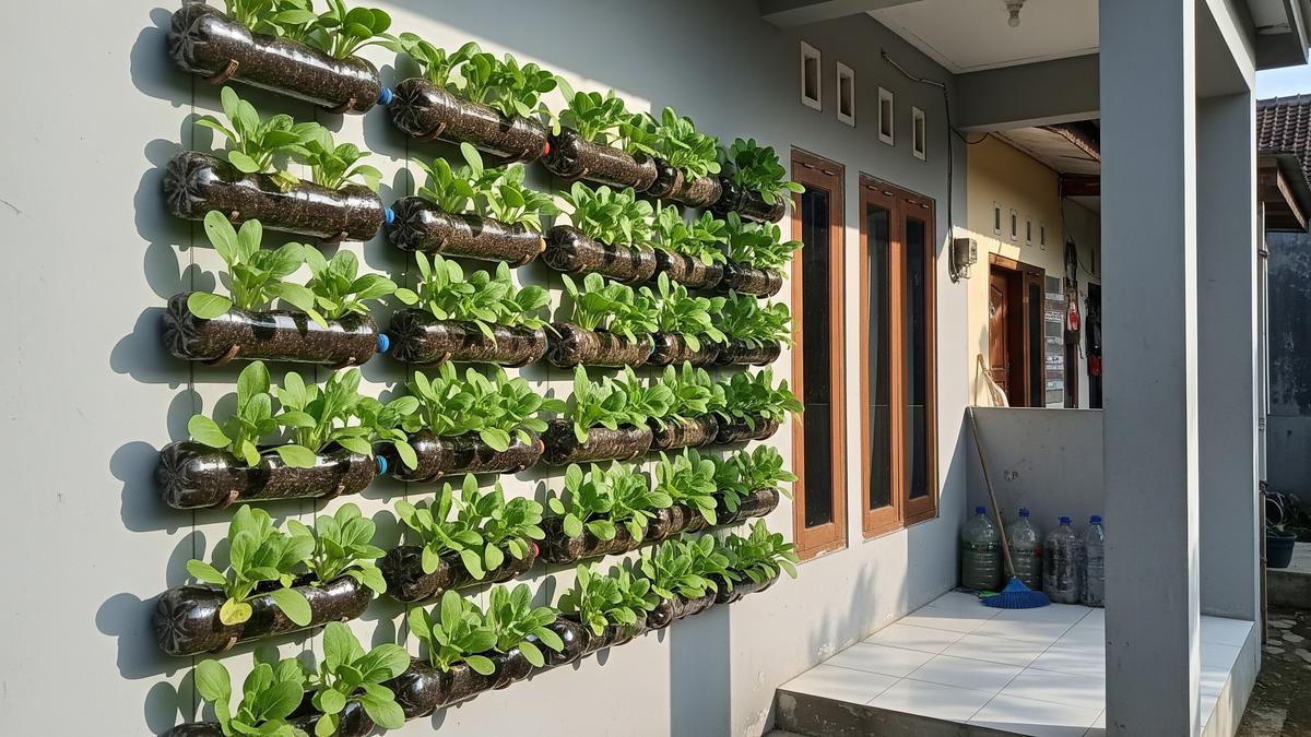 6 Ide Kebun Pakcoy Gantung Anti Ulat yang Mudah Dirawat untuk Halaman Rumah Sempit