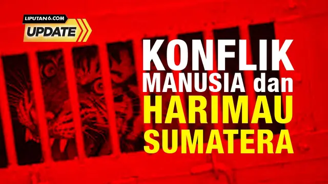 Konflik Manusia dan Harimau di Riau