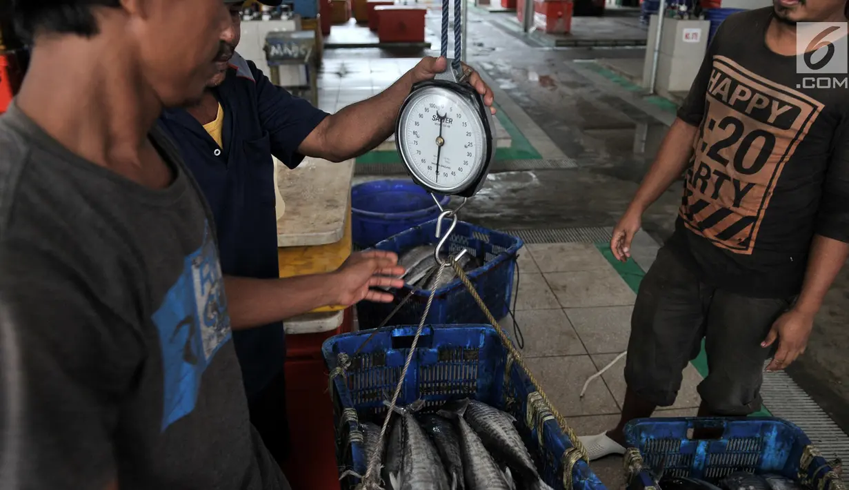 Pedagang menimbang ikan di Pasar Ikan Modern (PIM) Muara Baru, Jakarta, Kamis (21/2). PIM Muara Baru memiliki Instalasi Pengolahan Air Limbah, cold storage, lokasi bongkar muat hingga food court. (Merdeka.com/Iqbal Nugroho)