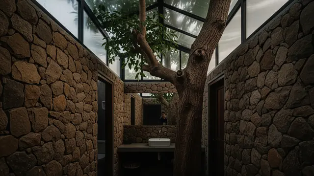 Rumah Sempit Tapi Tetap Sejuk Dengan Satu Pohon Besar