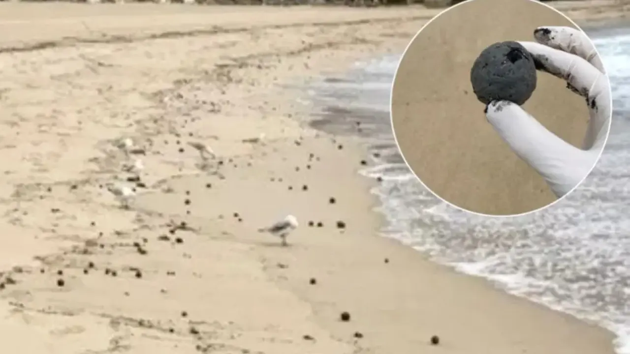 Ratusan benda misterius berbentuk bola seukuran bola golf hingga bola kriket terlihat berserakan di sepanjang pasir pantai di Sydney Australia. (Facebook/RandwickCityCouncil)