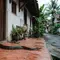 7 Cara Mencegah Ular Masuk Rumah, Lupakan Penggunaan Garam