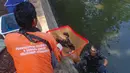 Personel TNI AL bersama petugas PPSU saat operasi penangkapan ikan sapu-sapu di perairan kawasan Setu Babakan, Jakarta Selatan, Selasa (5/5/2026). Sejumlah personel TNI AL diterjunkan membantu operasi penangkapan ikan sapu-sapu di kawasan Setu Babakan, Jakarta Selatan. (merdeka.com/Arie Basuki)
