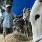 Masjid Istiqlal pada perayaan Idul Adha 1435 Hijriah ini tidak lagi memberikan daging kurban secara langsung pada orang-orang yang berhak menerimanya.