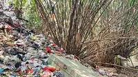 Tim Satuan Tugas Ciliwung menemukan anak Sungai Ciliwung, Sungai Cipakancilan, penuh dengan sampah. (Foto: Sekretaris Tim Satgas Ciliwung Kota Bogor, Een Irawan Saputra)