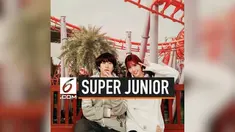 Kim Heechul dan Momo dikabarkan menjalin hubungan asmara. Dan kabar ini dibenarkan oleh agensi tempat mereka bernaung.