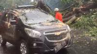 Pohon tumbang menimpa tiga kendaraan dan dua warung di Jalan Juanda, Kota Bogor, Selasa (1/4/2025). Akibat peristiwa ini, dua orang dilaporkan terluka. (Liputan6.com/Achmad Sudarno)