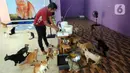 Bimbim memberi makan kucing-kucing disabilitas di Rumah Blendy untuk Kucing Disabilitas di kawasan Sawangan, Depok, Jawa Barat, Kamis (15/12/2021). Biaya pemeliharaan kucing disabilitas mencapai Rp 40 juta per bulan yang berasal dari subsidi silang usaha petshop. (merdeka.com/Arie Basuki)