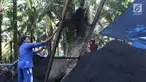 Pekerja dari kelompok tani mekar jaya binaan PT Wirakarya Sakti unit forestry APP Sinarmas menyelesaikan pembuatan pupuk kompos di Kab Tanjung Jabnung Barat, Provinsi Jambi, Kamis (3/5). (Liputan6.com/Angga Yuniar)