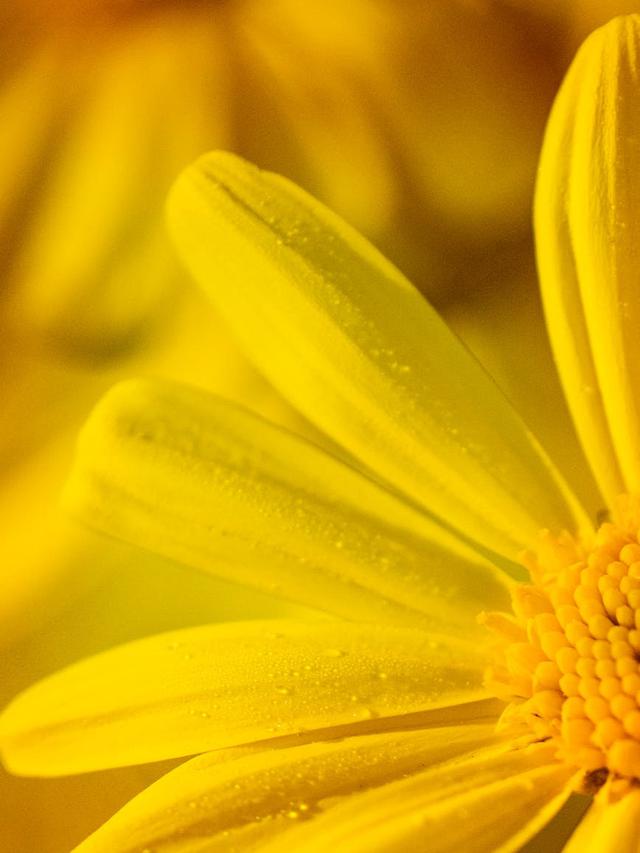 10 Gambar Background Keren Untuk Wallpaper Pahami Arti Warnanya Hot Liputan6 Com Beberapa slide view yang mantab, ternyata modifikasi mobil dengan warna kuning, biru dan orange mantab banget, bahkan kombinasi dari cat biru dan orange. 10 gambar background keren untuk