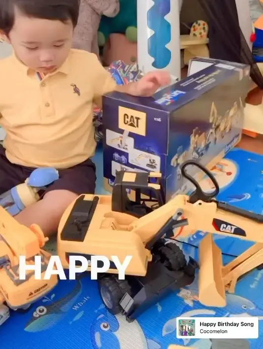 Ahok dan Puput rayakan ultah Yosafat (Instagram/btpnd)