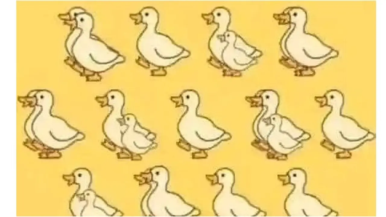 Berapa Banyak Bebek yang Kamu Lihat Pada Ilusi Optik Ini, Tebak dalam 30 Detik
