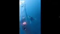 Ikan oarfish muncul di permukaan laut di Taiwan, ikan ini disebut sebagai tanda akan terjadinya bencana tsunami hingga kiamat. (Foto: Twitter @tanyarlfes).