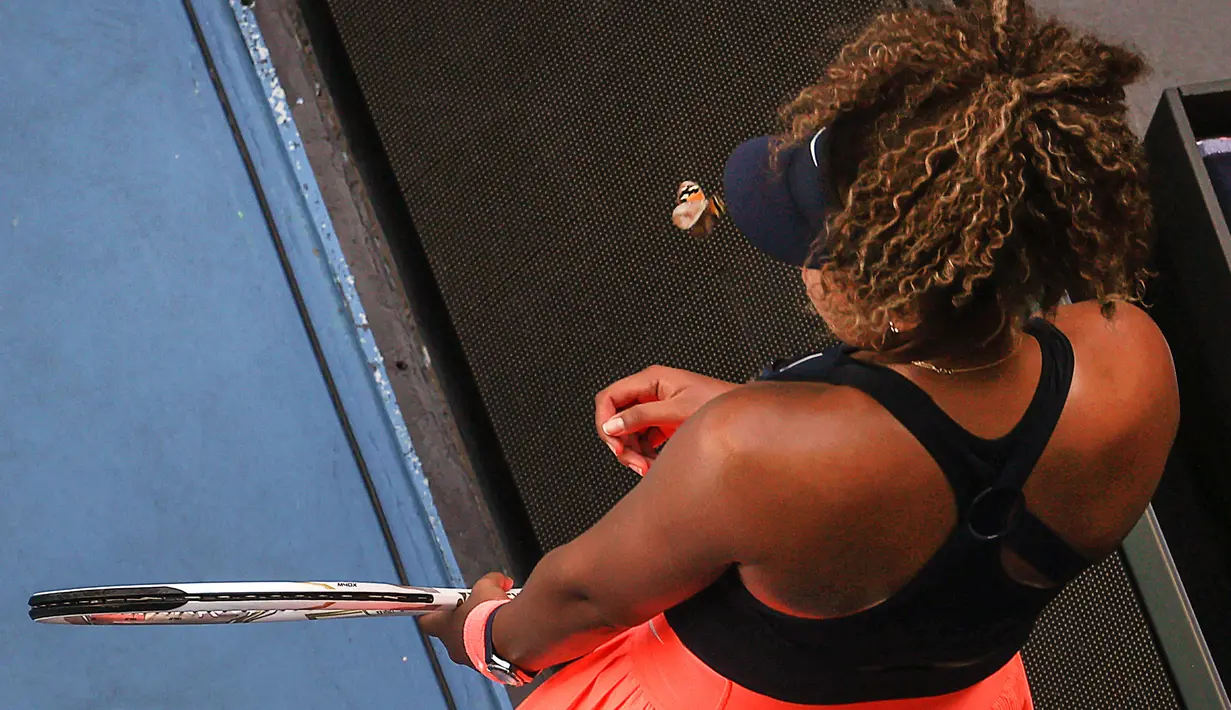 Seakan tak mau berpisah, kupu-kupu tersebut kembali hinggap di topi Naomi Osaka. Reaksi penyayang terhadap binatang tersebut mendapat pujian dari warga net. (Foto: AFP/David Gray)