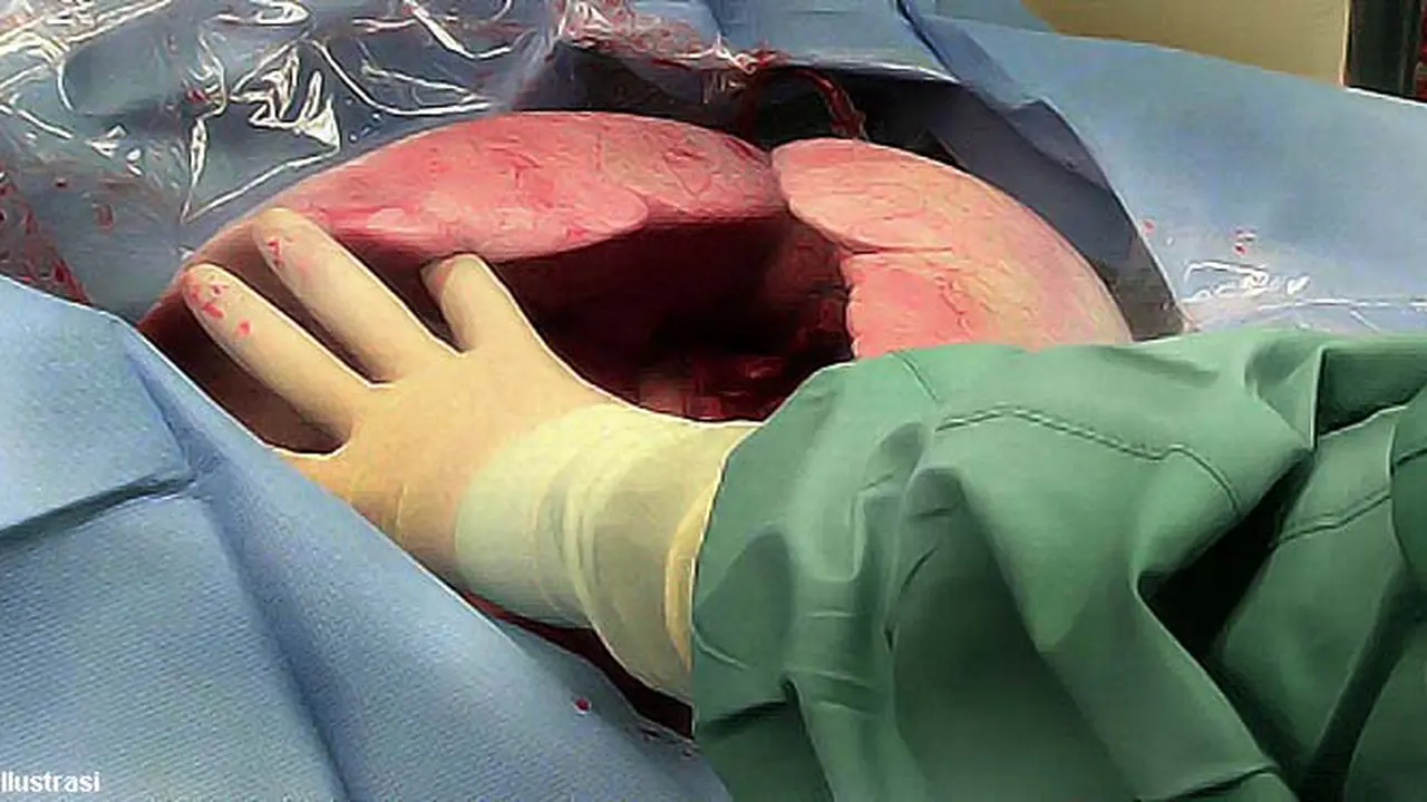 temuan-organ-131010b.jpg