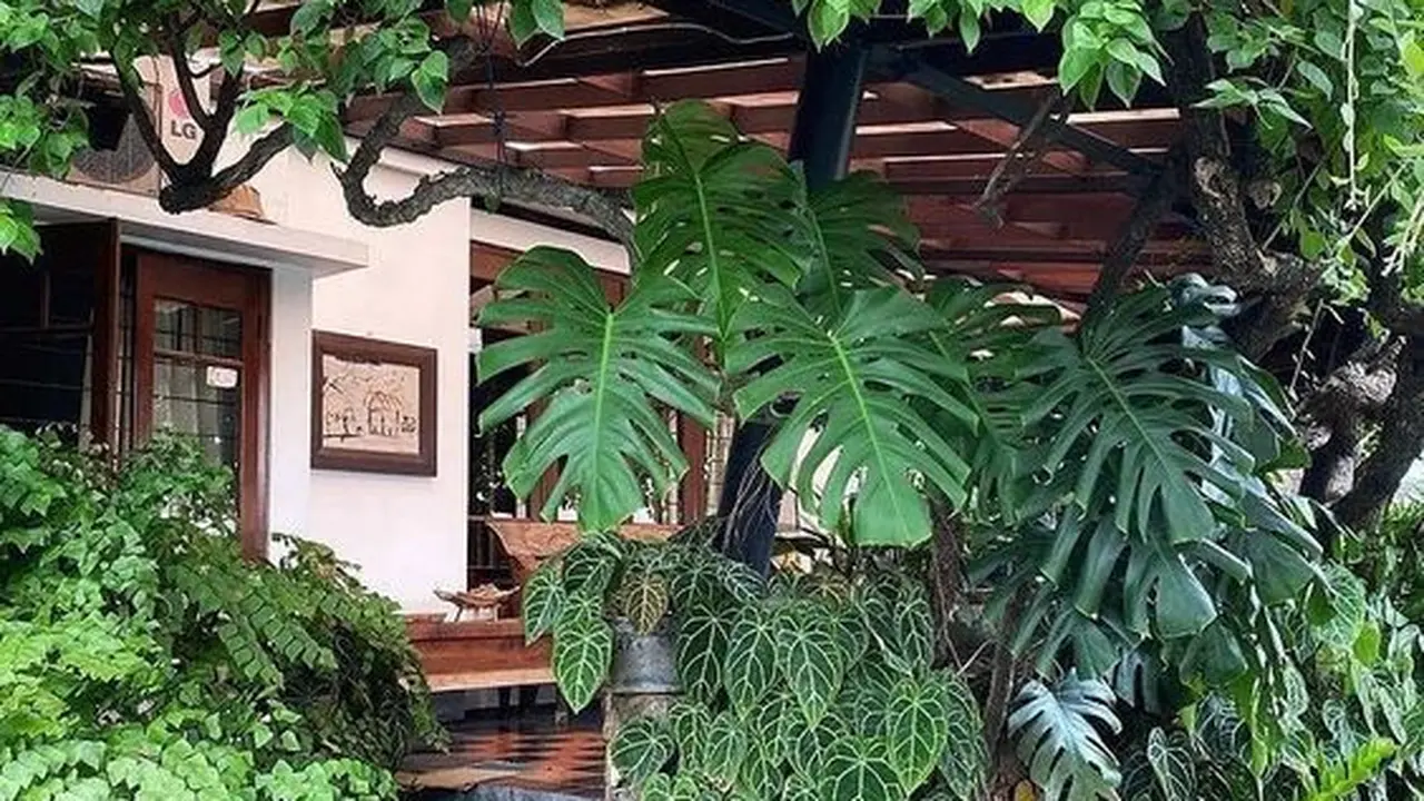 Taman Rindang dengan Atap