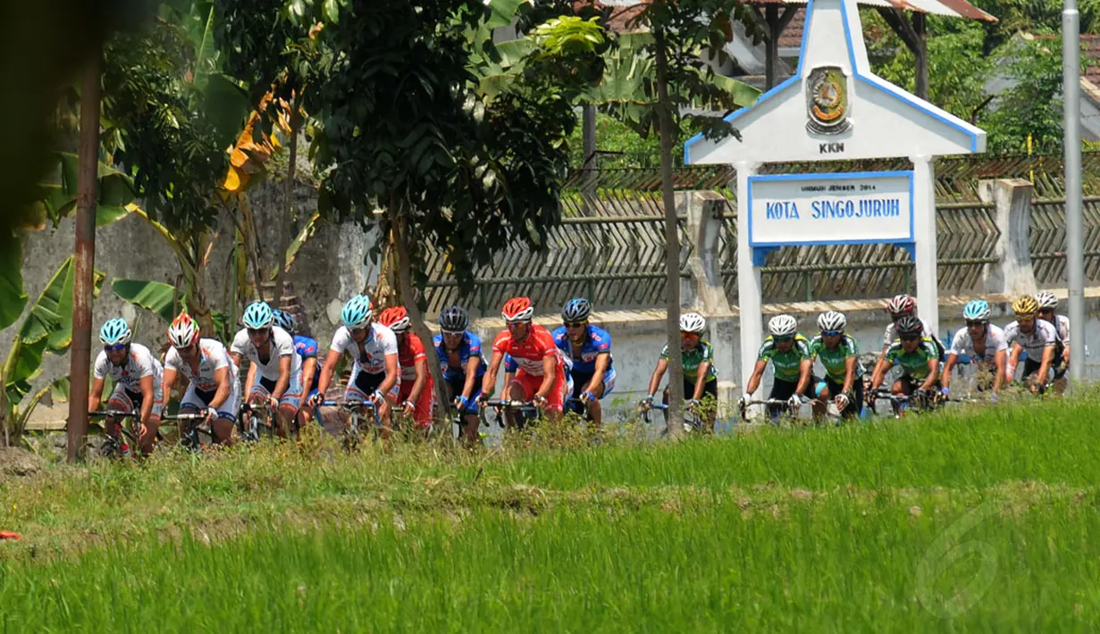 Ratusan pebalap Tour De Banyuwangi Ijen melintasi jalur dengan pemandangan persawahan di wilayah Kabupaten Banyuwangi Jawa Timur, (16/10/2014). (Liputan6.com/Helmi Fithriansyah)