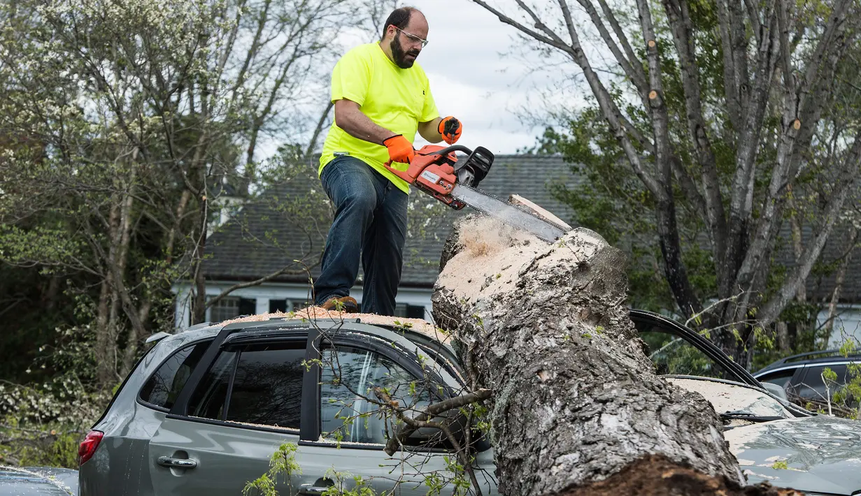 Seorang pria menebang batang pohon yang menimpa mobilnya usai terjadi badai di Elon, Virginia (16/4). Akibat badai ini sejumlah rumah rusak berat. (Jay Westcott/The News & Advance via AP)