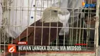 Sindikat penjualan hewan langka ditangkap melalui media sosial.