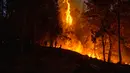 Petugas pemadam kebakaran memadamkan Mosquito Fire dekat Michigan Bluff di Placer County, California, Amerika Serikat, 7 September 2022. (Stephen Lam/San Francisco Chronicle via AP)