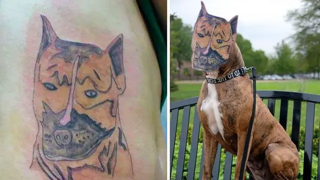 tato kocak