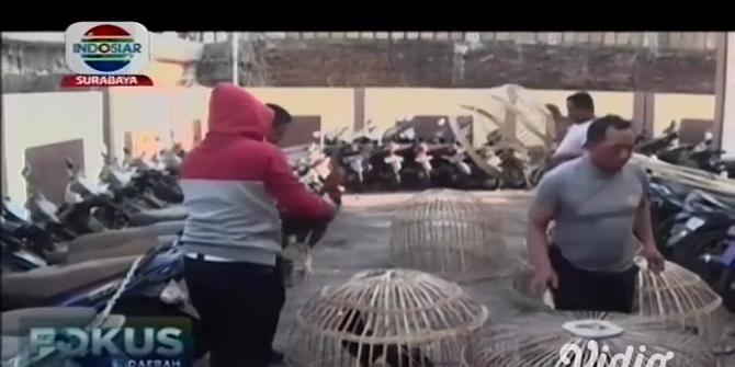 VIDEO: Resahkan Warga, Polsek Wiyung Surabaya Gerebek Judi Sabung Ayam