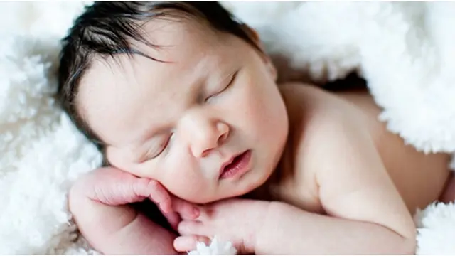 Courtesy ShutterStock.com