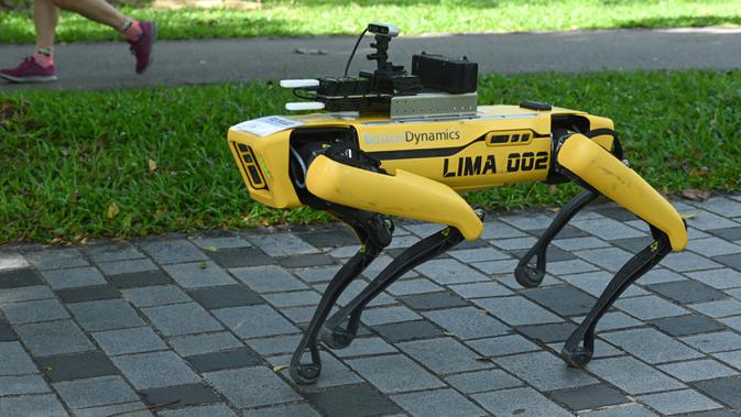 Sebuah robot berkaki empat yang mirip anjing, Spot terlihat selama uji coba dua minggu di Bishan-Ang Moh Kio Park, Singapura pada 8 Mei 2020. Robot itu menyiarkan pesan untuk mengingatkan warga untuk melakukan jaga jarak di tengah pandemi virus corona. (Roslan RAHMAN/AFP)